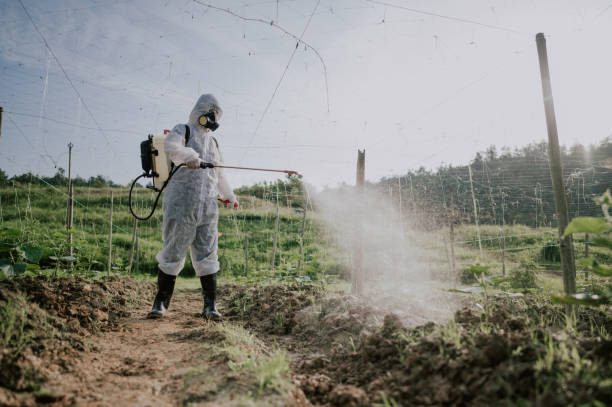 Best Mosquito Control Services  in Shoreline, WA