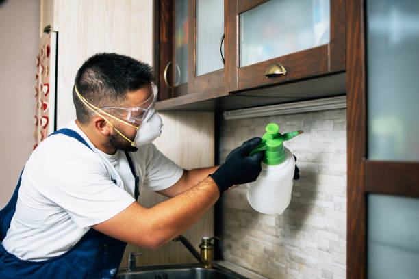 Best Pest Prevention Services  in Shoreline, WA