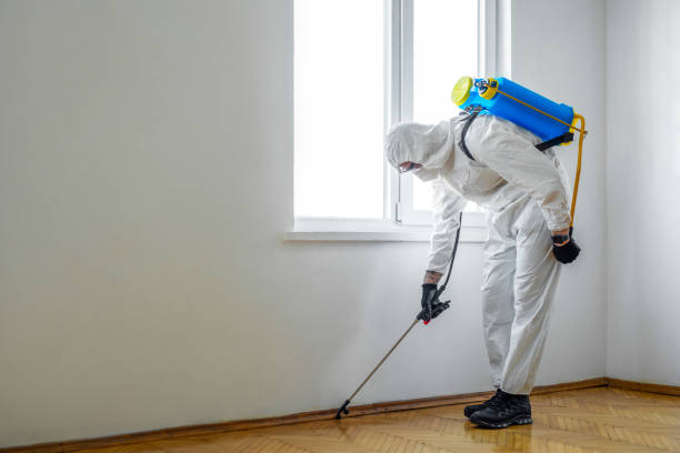 Best Mosquito Control Services  in Shoreline, WA