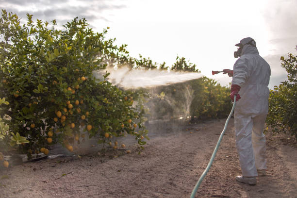 Best Flea Control Services  in Shoreline, WA