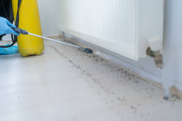 Best Exterminator Services  in Shoreline, WA
